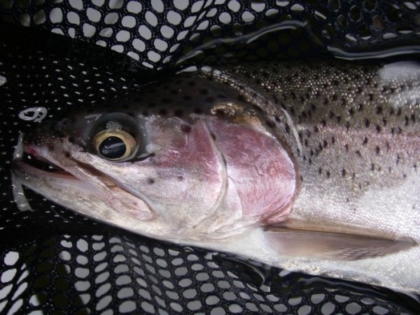 5-7-2011 Stillwater (3).jpg 5-7-2011 Stillwater (3).jpg